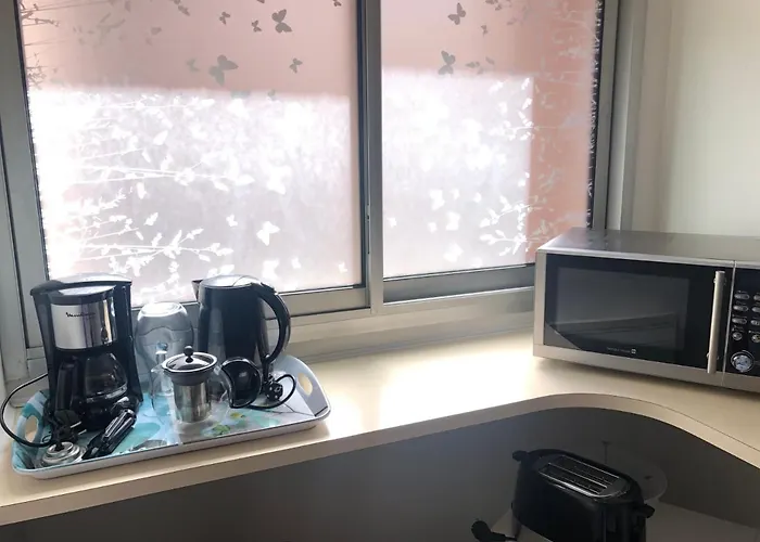 Hyper-centre Historique Avec Possibilite De Reservation Parking * トゥールーズ