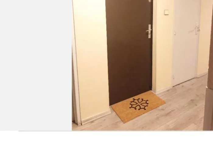 Hyper-centre Historique Avec Possibilite De Reservation Parking * トゥールーズ